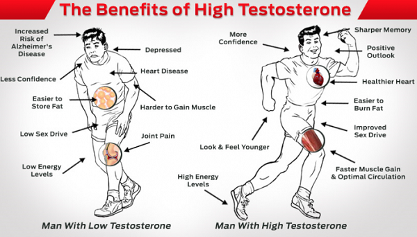 7-tips-optimakan-testosteron-lelaki-kekal-sihat